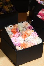 おとなのための新しいプラザ(PLAZA)「オトナプラザ」がギンザシックスにオープン｜写真3