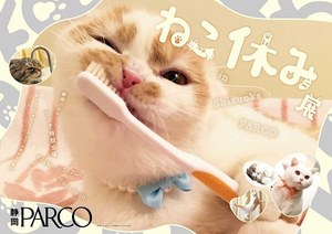 「ねこ休み展」SNS界の“スター猫”が静岡に集結 - 滋賀ではしょんぼり顔の“ふーちゃん”新写真展｜写真23