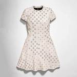 コーチ×ロダルテの限定コレクションをオープニングセレモニー表参道店で発売、バッグやウェアなどを展開｜写真22