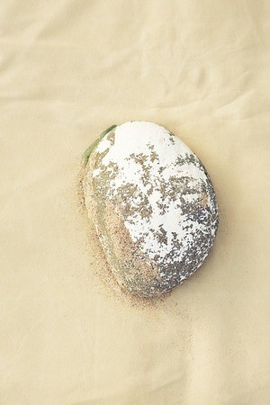 ダイワ(DAIWA) 2019年春夏メンズコレクション  - 写真24