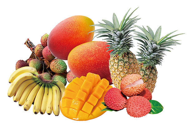 カルチャーフェス(海外の文化やグルメを紹介)｜「台湾フェスティバル」上野公園で開催 - 台湾式ビアガーデン出現、ライチ種飛ばし大会も