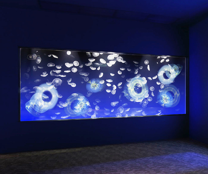 すみだ水族館の新展示「ワンダークラゲ」クラゲの動きと連動した映像と音で、不思議な浮遊感を体験｜写真2