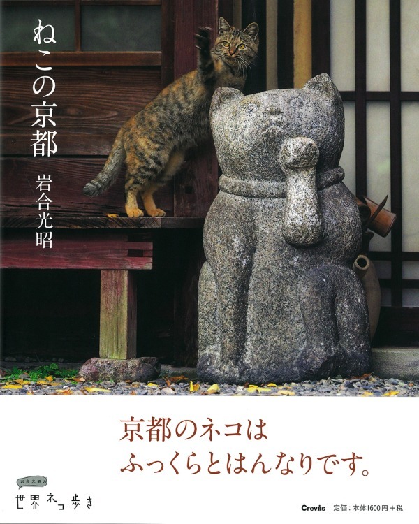 岩合光昭写真展「ねこの京都」名古屋＆大阪で、四季折々"京の猫"写真180点｜写真9