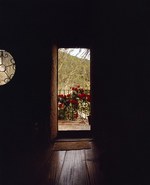 ロエベ(LOEWE) パウラズ イビザ｜写真17