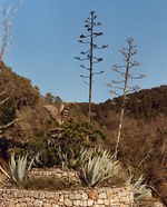 ロエベ(LOEWE) パウラズ イビザ｜写真24