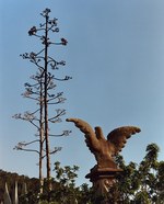 ロエベ(LOEWE) パウラズ イビザ｜写真25