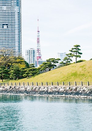 カミラフカ(KAMILAVKA) 2017-18年秋冬ウィメンズ&メンズコレクション  - 写真7