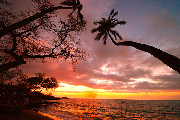 「アロハスピリッツ 星降る島ハワイ」