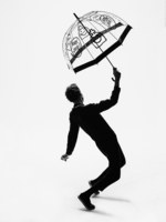 デヴァステ (DEVASTEE), フルトン(Fulton) バードケージ｜写真1