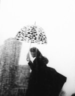 デヴァステ (DEVASTEE), フルトン(Fulton) バードケージ｜写真7