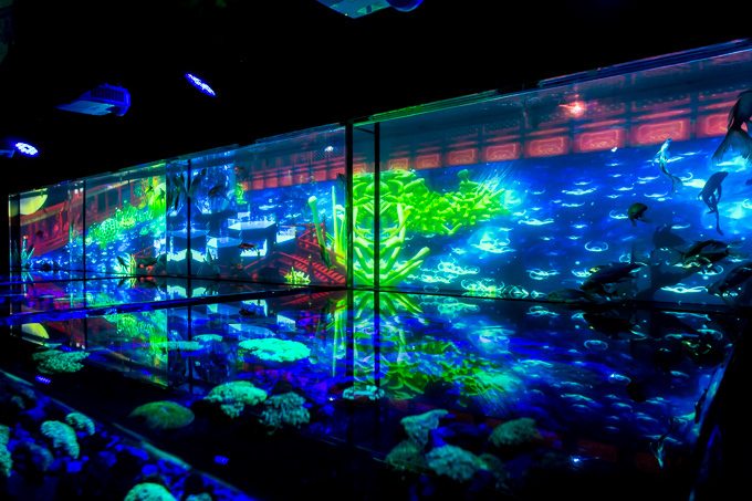 日本橋で「アートアクアリウム」金魚が泳ぐ水中アート展覧会、「龍宮城」をテーマにした玉手箱の新作｜写真13
