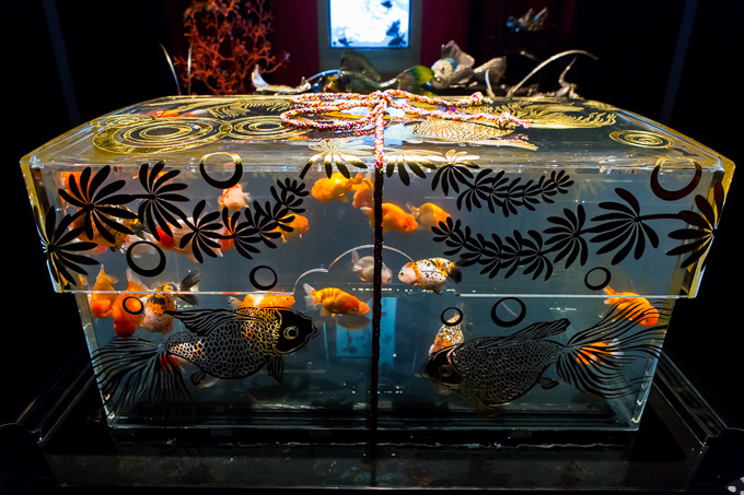 日本橋で「アートアクアリウム」金魚が泳ぐ水中アート展覧会、「龍宮城」をテーマにした玉手箱の新作｜写真22
