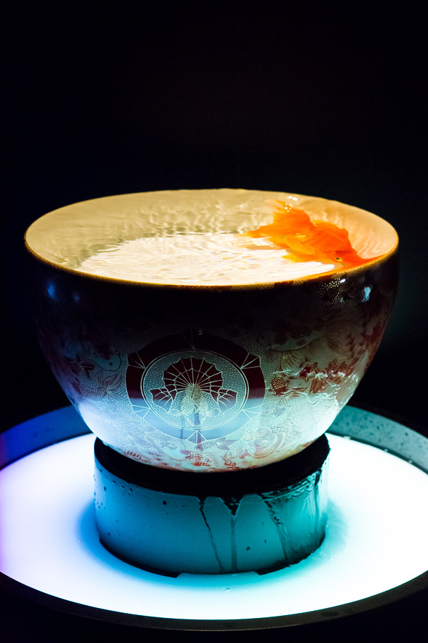 日本橋で「アートアクアリウム」金魚が泳ぐ水中アート展覧会、「龍宮城」をテーマにした玉手箱の新作｜写真26