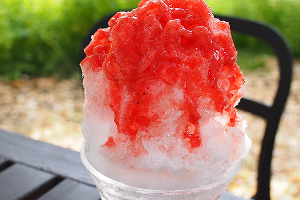 カルチャーフェス(海外の文化やグルメを紹介)｜タイフードと全国の名店かき氷が楽しめる「タイフード＆かき氷フェス」大井競馬場で開催