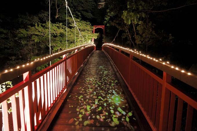 ネイキッド「定山渓ネイチャールミナリエ」を札幌・定山渓で、光と大自然の幻想的なショー | 写真