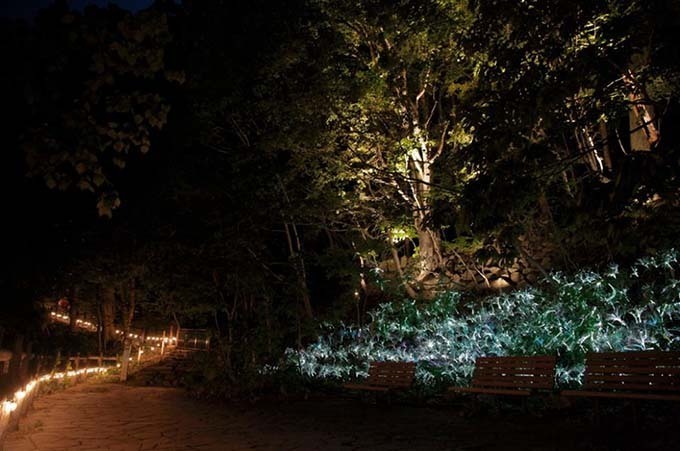 ネイキッド「定山渓ネイチャールミナリエ」を札幌・定山渓で、光と大自然の幻想的なショー｜写真3