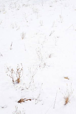 キャプテン サンシャイン(KAPTAIN SUNSHINE) 2017-18年秋冬メンズコレクション  - 写真2