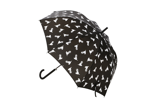 キャンディ ストリッパー