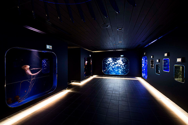 鴨川シーワールド「ナイトアドベンチャー」