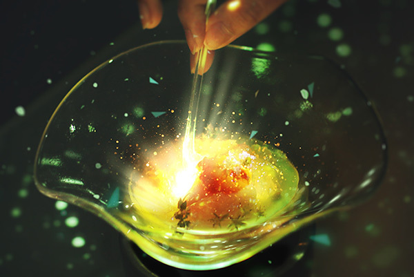 アクアリウム｜ネイキッド、食×アートが融合する体験型レストラン「ツリーバイネイキッド」代々木公園にオープン