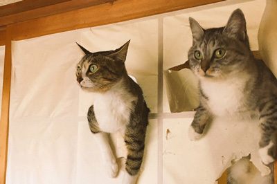 「ねこ休み展」