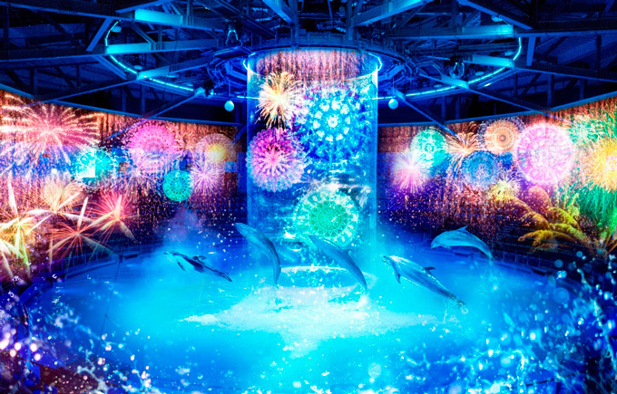 花火アクアリウム バイ ネイキッド イルカショーが大迫力の花火で彩られる アクアパーク品川にて ファッションプレス