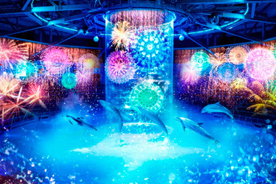 「花火アクアリウム バイ ネイキッド」
