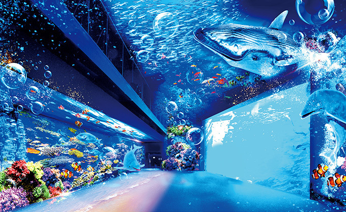 仙台うみの杜水族館が進化、プロジェクションマッピングで「映像×音楽 ..., 画像サイズ:680x416