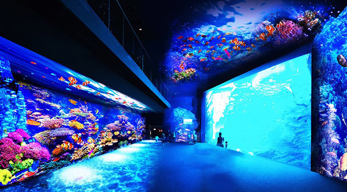 仙台うみの杜水族館が進化、プロジェクションマッピングで「映像×音楽×生きもの」360°大パノラマの海｜写真3