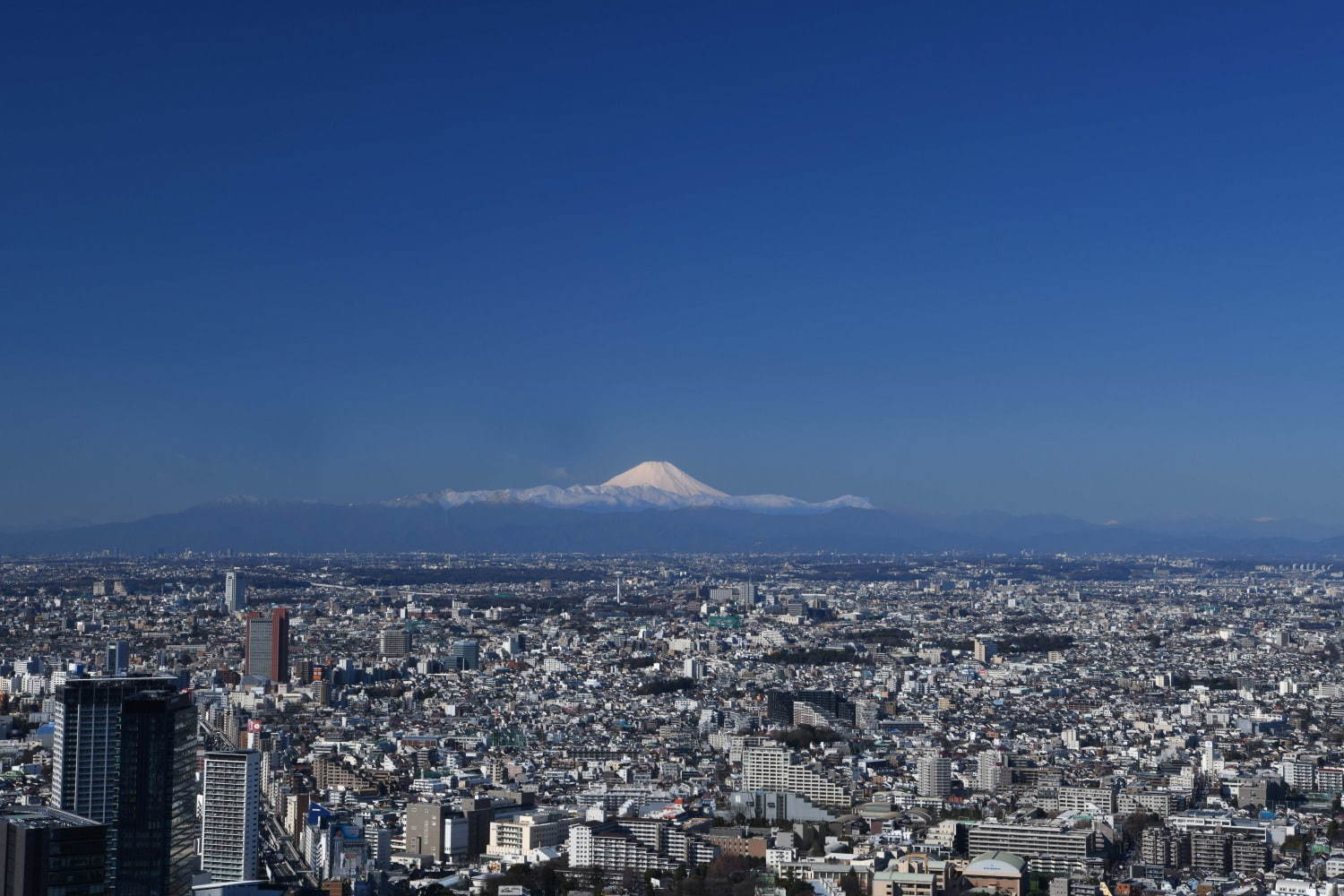 「渋谷スクランブルスクエア」渋谷最高峰230mの複合施設、360°見渡せる天望空間「渋谷スカイ」も｜写真135