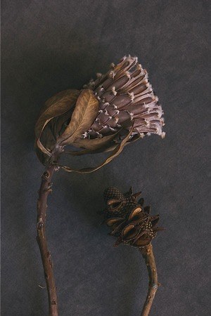 ライト(WRYHT) 2019-20年秋冬ウィメンズコレクション  - 写真12