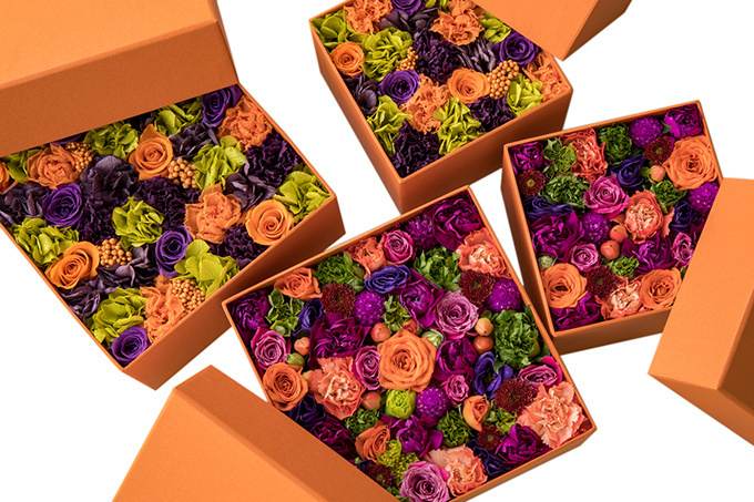 ニコライ バーグマン秋限定フラワーボックス - 鮮やかなオレンジとパープルのコントラスト | 写真