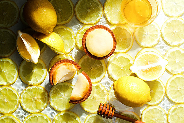 ベイク チーズタルト「はちみつがけレモンチーズタルト」