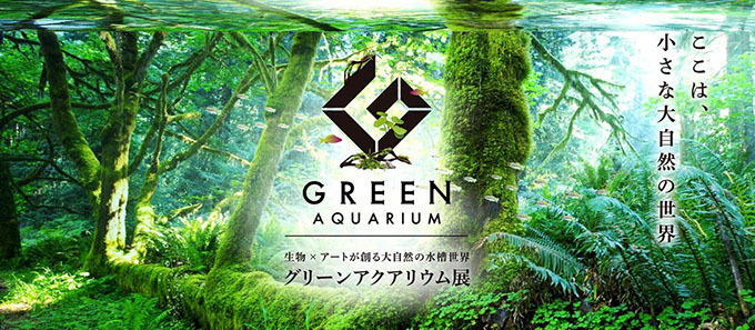 生物×アートで創る自然の水槽世界「グリーンアクアリウム展」がグランツリー武蔵小杉で開催 | 写真