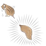 サンシャイン水族館「ざんねんないきもの展」一生懸命なのにどこか"ざんねん"な生き物たちが集結｜写真16