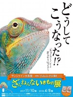 サンシャイン水族館「ざんねんないきもの展」一生懸命なのにどこか"ざんねん"な生き物たちが集結｜写真17