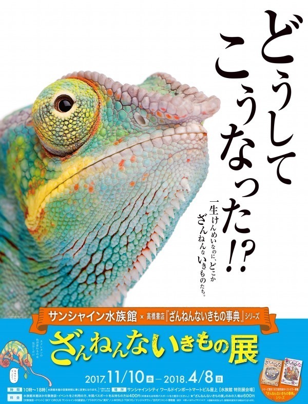 サンシャイン水族館「ざんねんないきもの展」一生懸命なのにどこか"ざんねん"な生き物たちが集結｜写真17