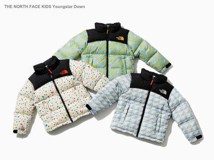 THE NORTH FACE × minä perhonen フリースジャケット