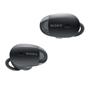 w300_sony20170905011.jpg