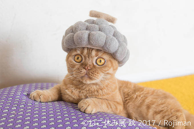 「ねこ休み展 秋 2017」名古屋で開催、スター猫たちの新作や限定グッズも｜写真11