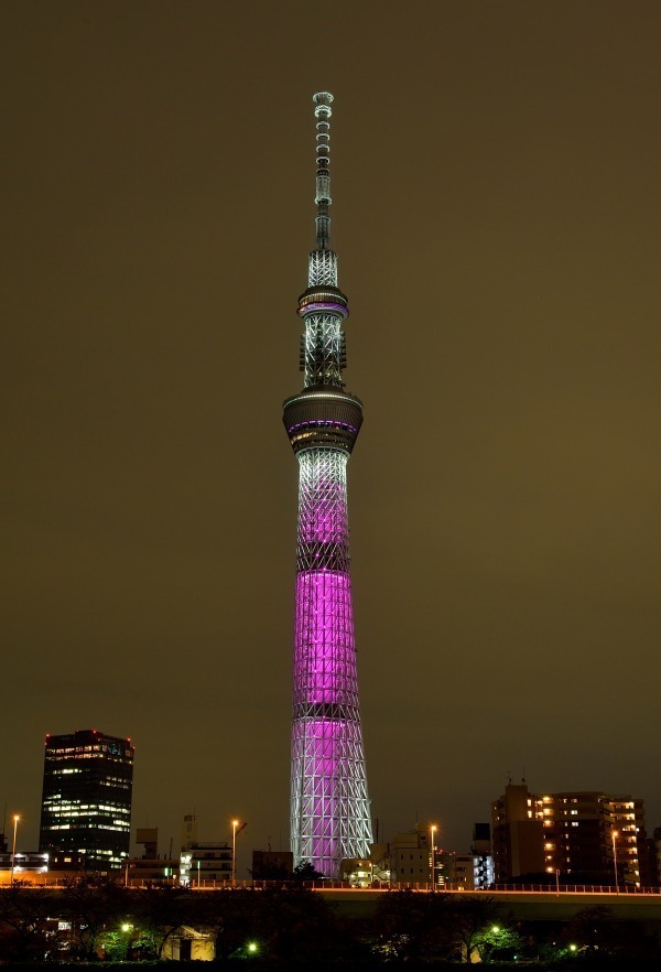 東京スカイツリーがピンクにライトアップ、ソラカラちゃんの限定グッズの販売も | 写真