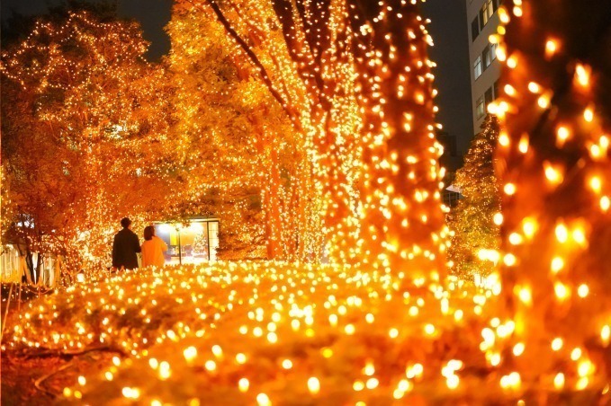 「新宿テラスシティ イルミネーション」