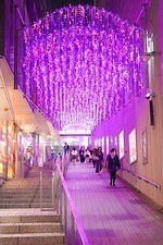 「新宿テラスシティ イルミネーション」新宿西口・南口エリアに、花がテーマのイルミネーション点灯｜写真1