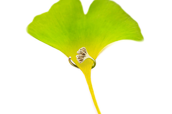 ナチュア & ニコライ バーグマン