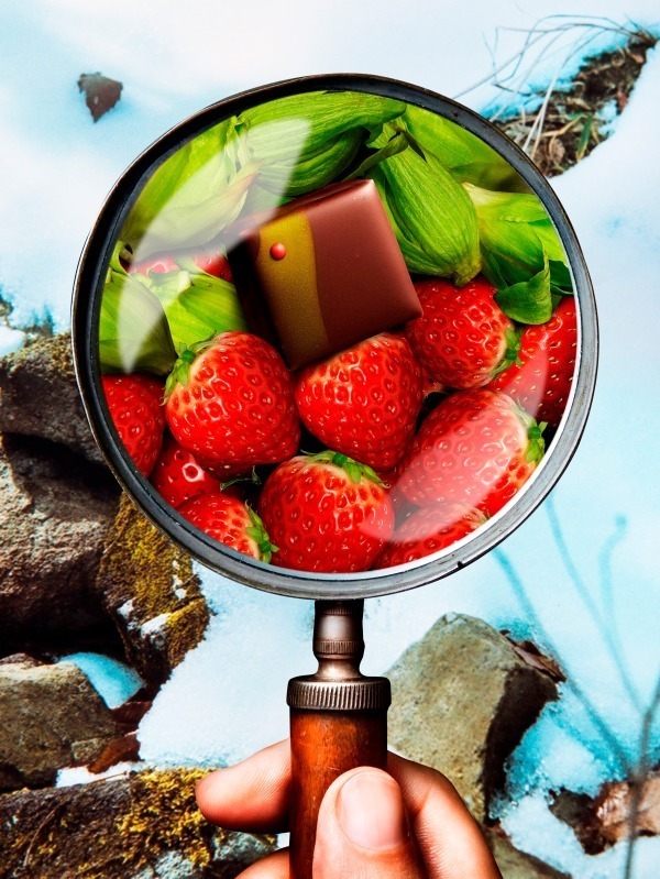 パティシエ エス コヤマの新作チョコレート - 苺＆ふきのとうのガナッシュなど4種｜写真3