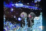 すみだ水族館×清川あさみ「フェアリーテール イン アクアリウム」、宮沢賢治の童話がテーマの幻想的空間｜写真8