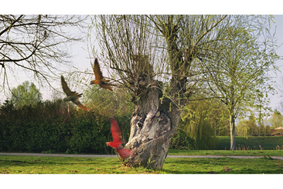 タカ・イシイギャラリーでマライケ・ファンヴァルメルダムの個展「Haru」開催