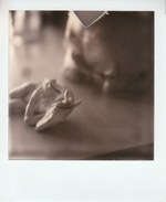 【限定250部サイン入り写真集】デヴィッド・シルヴィアン　展示会写真集 元JAPANドラマー、スティーヴ・ジャンセン写真展が初開催