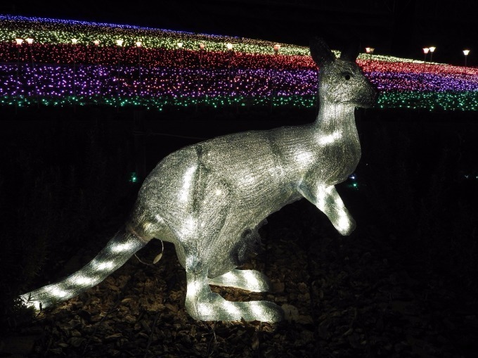 東武動物公園「ウインターイルミネーション」リズミカルなイルミネーションで光のライブ空間を演出｜写真4