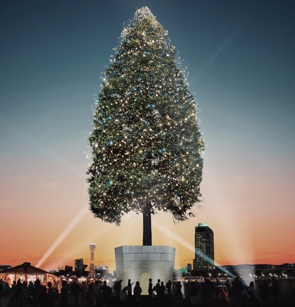 「世界一のクリスマスツリー」神戸に出現 - 富山から届く、約30m“あすなろの木”が世界一輝く木に｜写真1